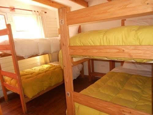 Hostal El Arbol0