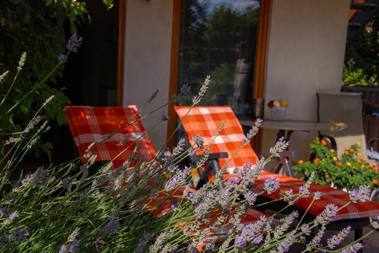 Ferienwohnung Hameln Jasmin0