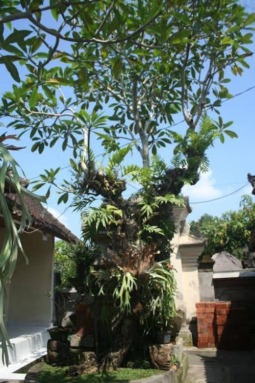 Nu Graha Guesthouse0