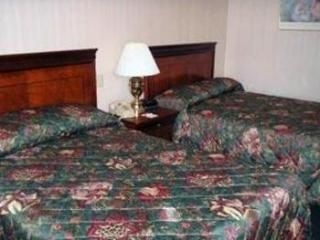 Grand Royale Clarion Collection1