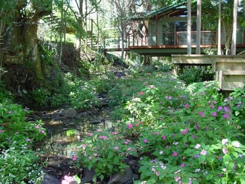 Treetops Montville0