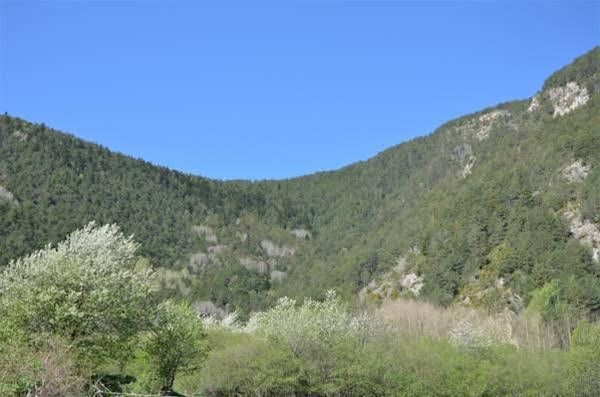 Eagle Andorra - La Cortinada0