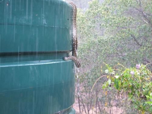 Bungadoo Country Cottage4