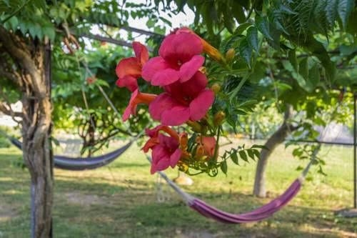 Locanda Villa Fiori0