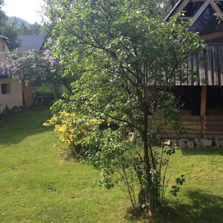 Hostel Tatry0