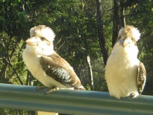 Nirvana at Montville2