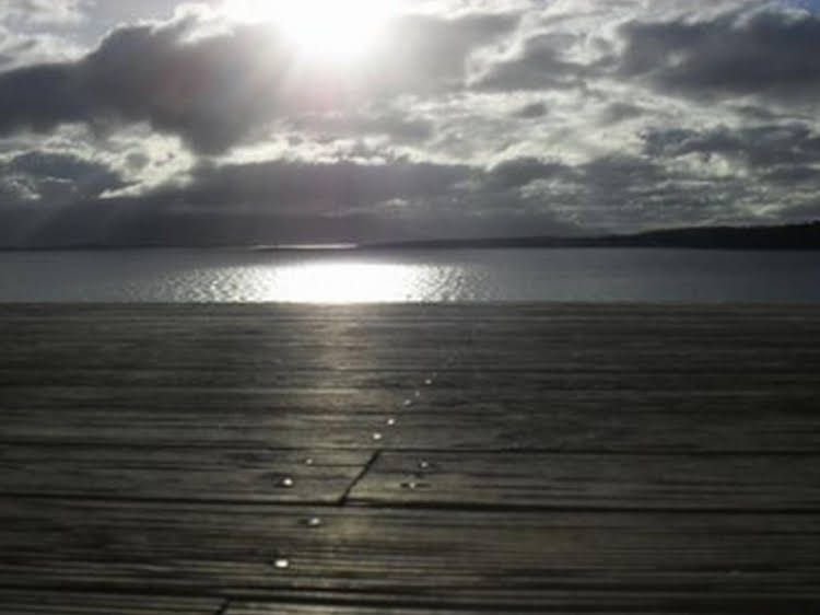 The Boat Shed0