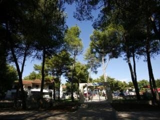 Apartmani Matilde2