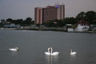 Paradiso4