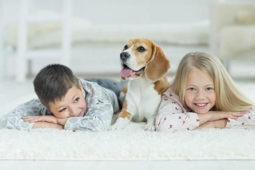 BOUTIQUE STAYS - Brighton Rose (Boutique Stays - Brighton Rose)2