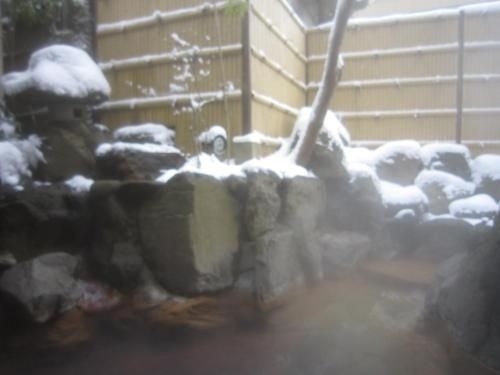 NOZARU ONSEN HOSTEL (Nozaru)1