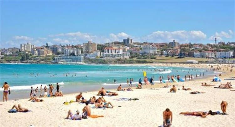 Bondi Executive0