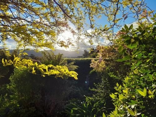 Hillside Bed and Breakfast1