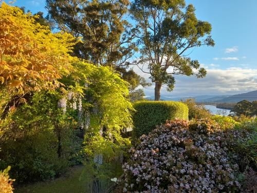 Hillside Bed and Breakfast4
