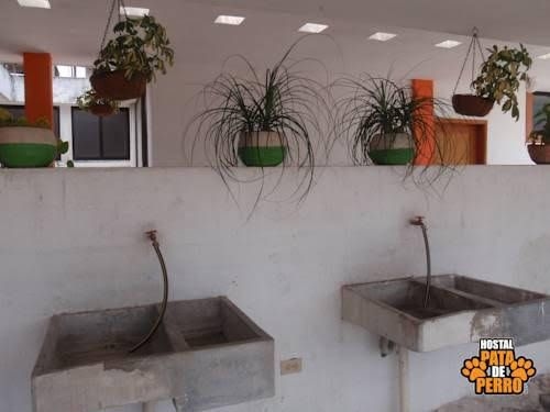 Hostal Pata de Perro0