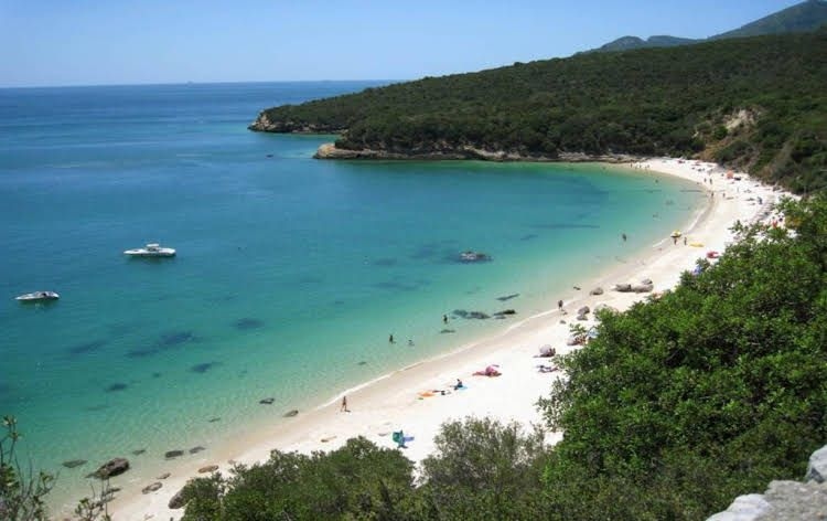 Flat305sesimbra0