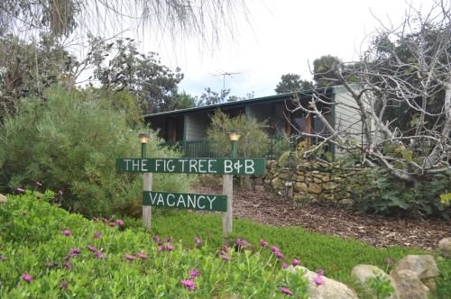 เดอะ ฟิก ทรี บี แอนด์ บี (The Fig Tree B&B)0