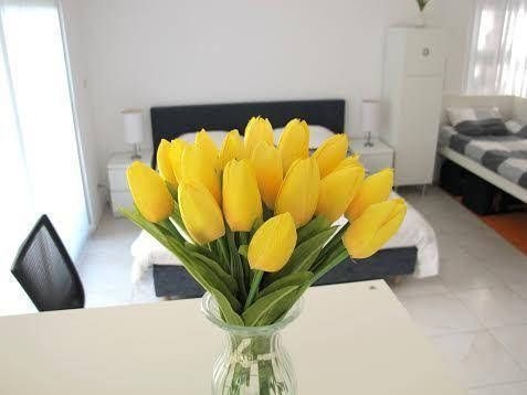 Apartment IBIZA0