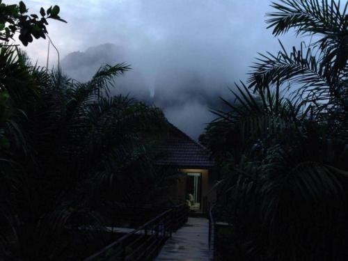 เขาสก กู๊ดวิว รีสอร์ท (Khaosok Good view Resort)4