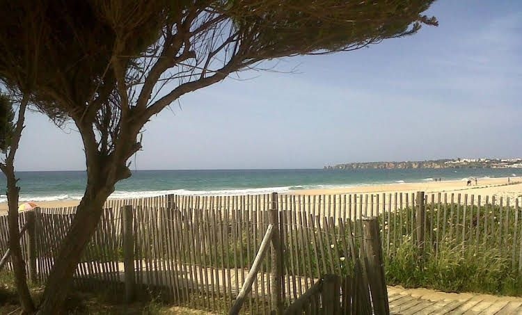 Quinta da Sao Roque0