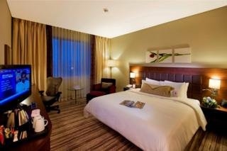 Hilton Garden Inn Kutahya1