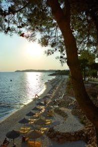 Alexandra Beach4