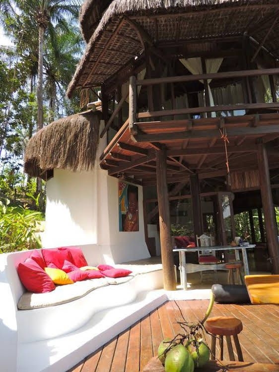 Eco Rainforest House0