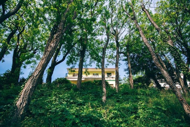 Villa Quiete0