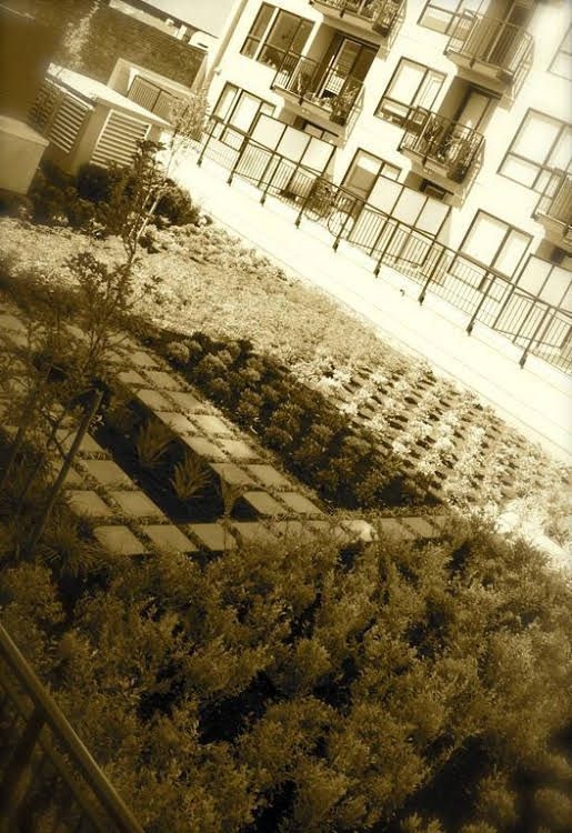 Oasis0