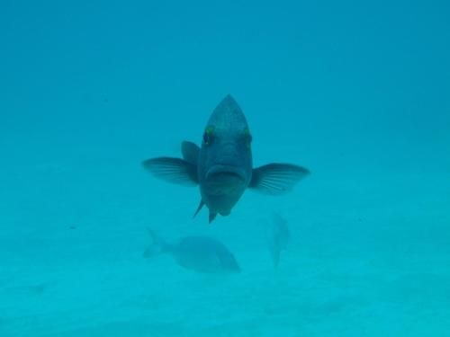 Ningaloo Bed and Breakfast1