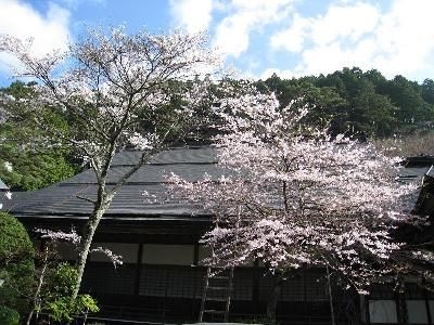 Henjoko-in4