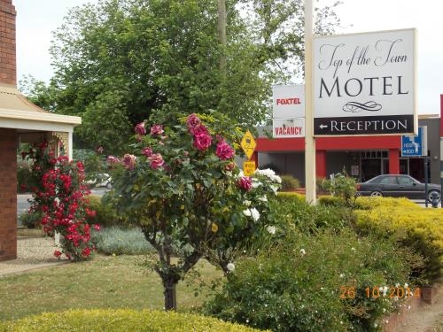 Top of the Town Motel Benalla4
