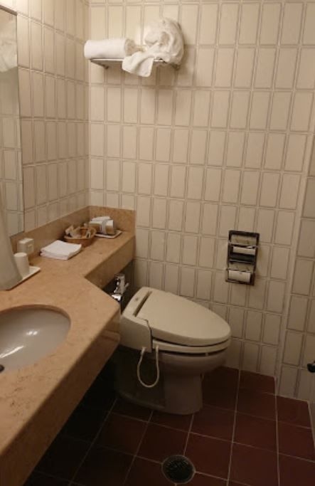 Takarazuka Hotel1