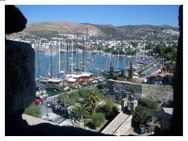 2 BR Apartment Sleeps 4 - TVL 37870