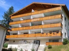 Viscaria - INH 254500