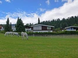 Desertina - INH 257890