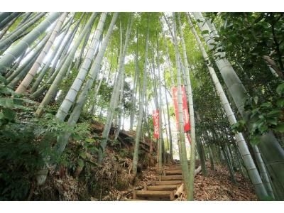 จินยา (Motoyu Jinya)4