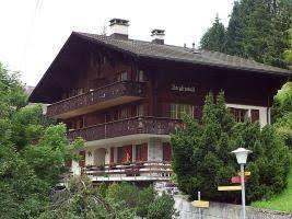 Bergkristall - INH 291230