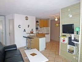 Les Terrasses de la Baronnie - INH 313230