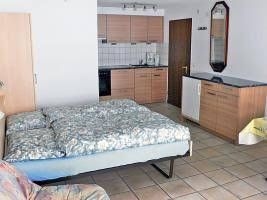 Amici - INH 253040