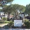 Pampelonne - INH 322380
