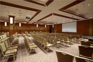 Radisson Royal Hotel4