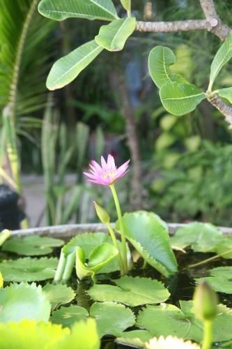 Mui Ne Resort3