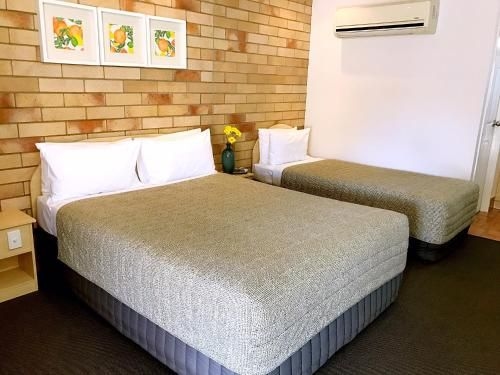 Starlight Motor Inn0