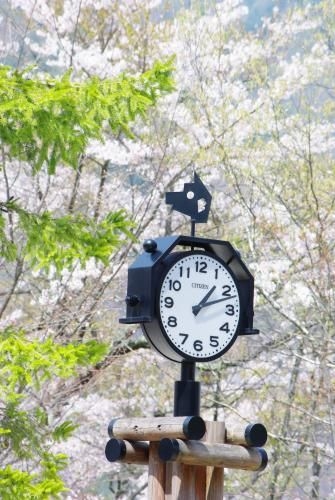 โคมากาเนะ โคเก็น รีสอร์ท ลินซ์ (Komagane Kogen Resort Linx)2