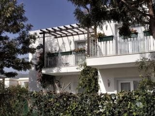 Satsuma Suite0