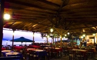 Leda Pelion4