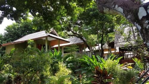 จังเกิ้ล ฮัท รีสอร์ท (Jungle Huts Resort)0