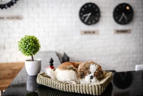 The Cube Hostel Silom4