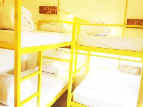 Safe and Sound Hostel3